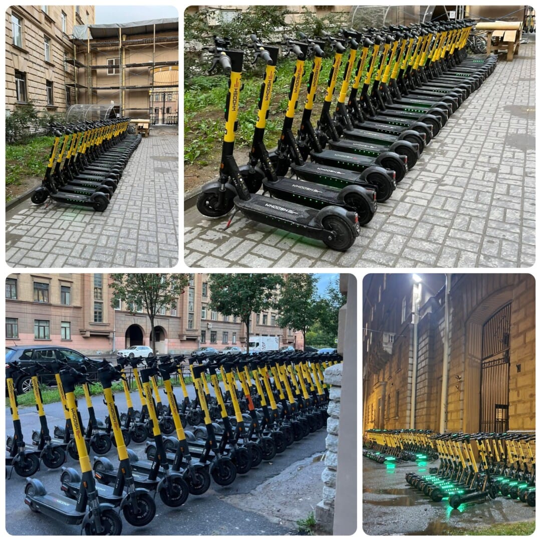 487677573 9559841704073139 4369947511505501405 N