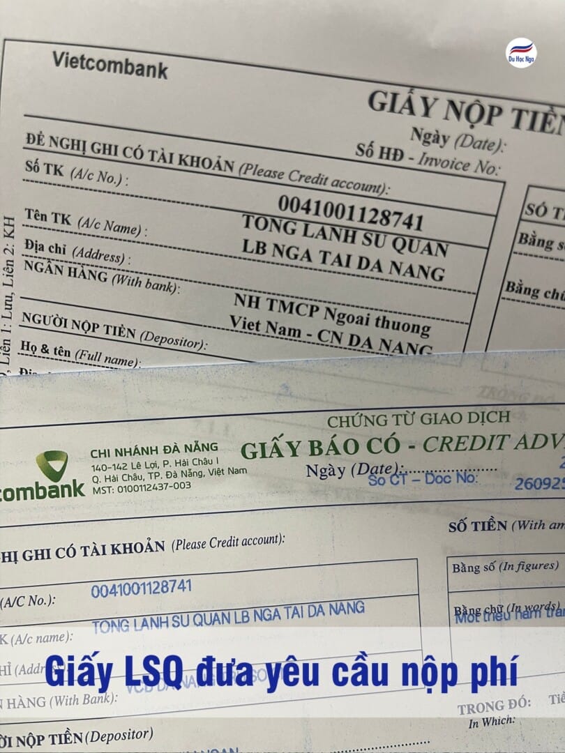 Hướng Dẫn Làm Visa Du Học Nga 2025 2